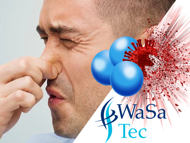 Ozon Geruchsneutralisation mit Wasa-Tec