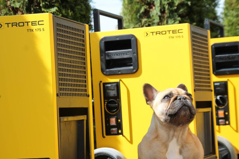 Wasatec Hund